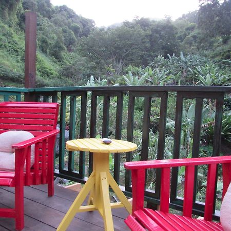 Rafjam Bed & Breakfast 킹스톤 외부 사진