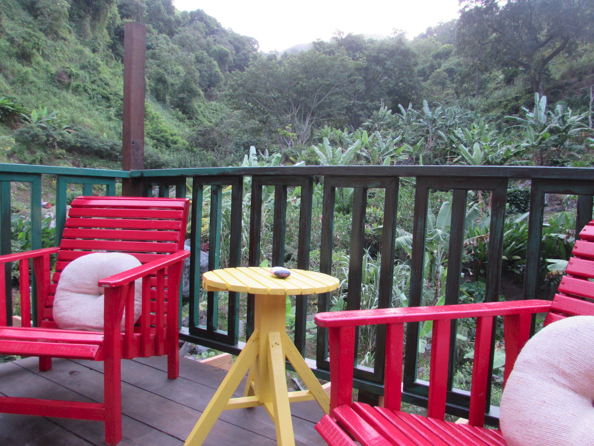 Rafjam Bed & Breakfast 킹스톤 외부 사진